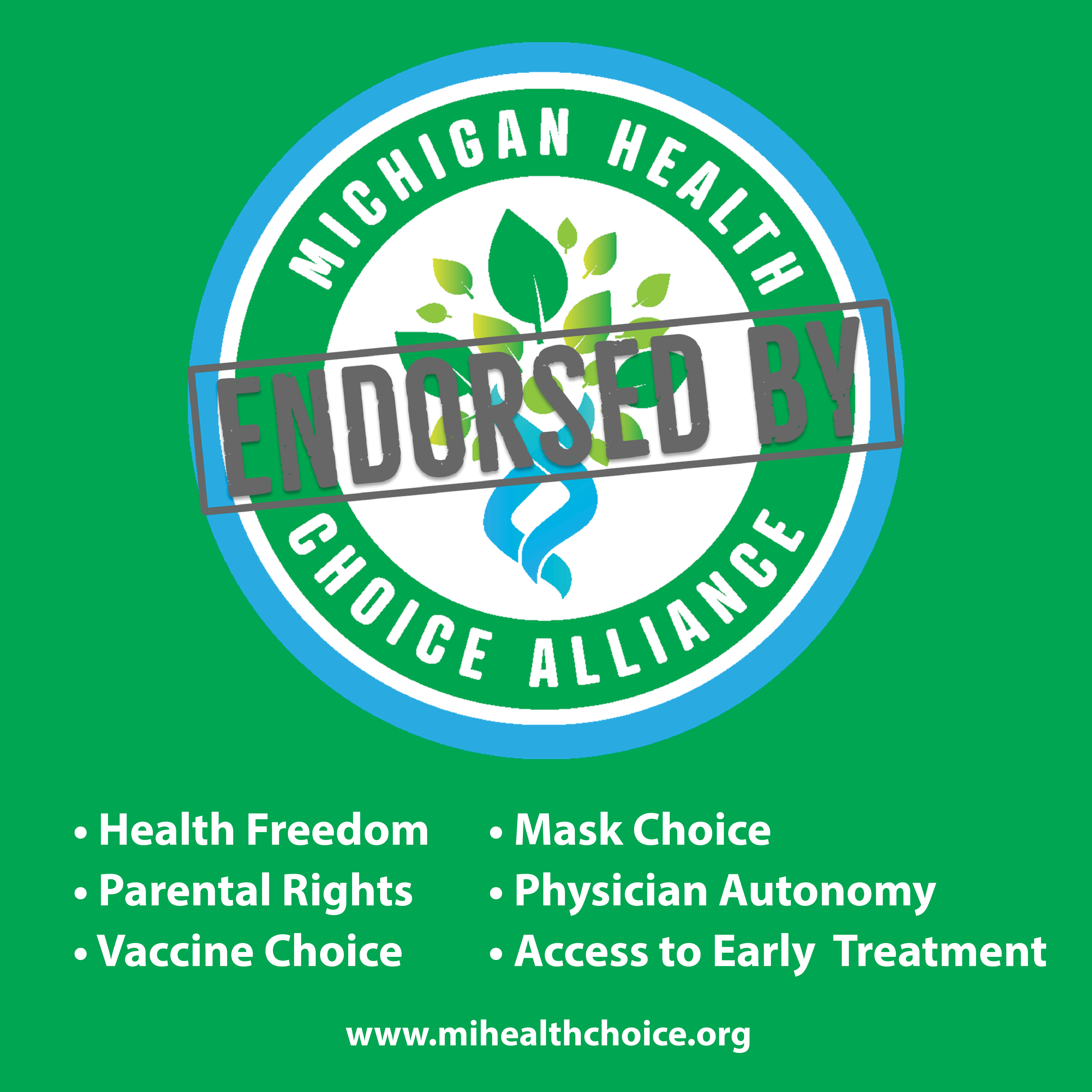 Michigan Initiative