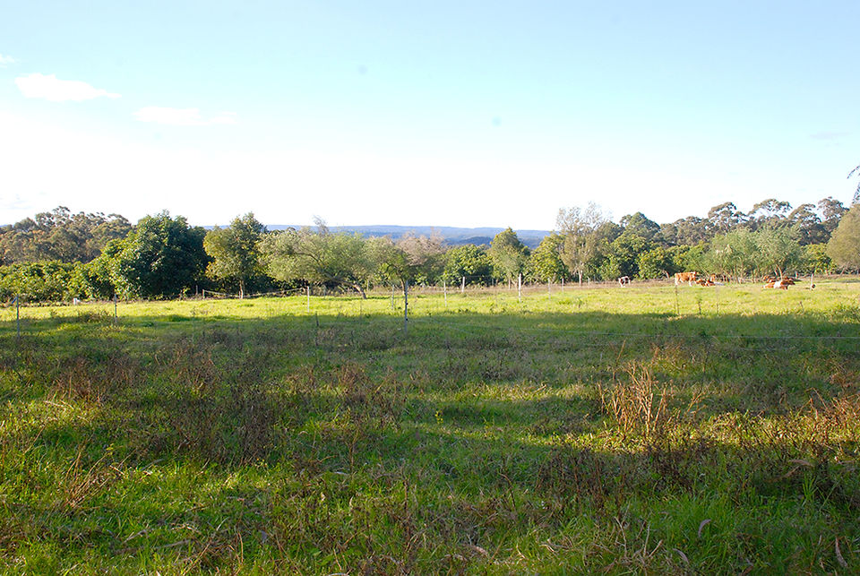 3 paddock