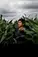         July Field Day - Amorelle Dempster's Farm 