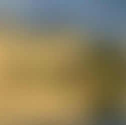 Day 199 - Crossing The Longest Bridge in Denmark: A 4-Hour Journey from Aarhus to Copenhagen,Denmark