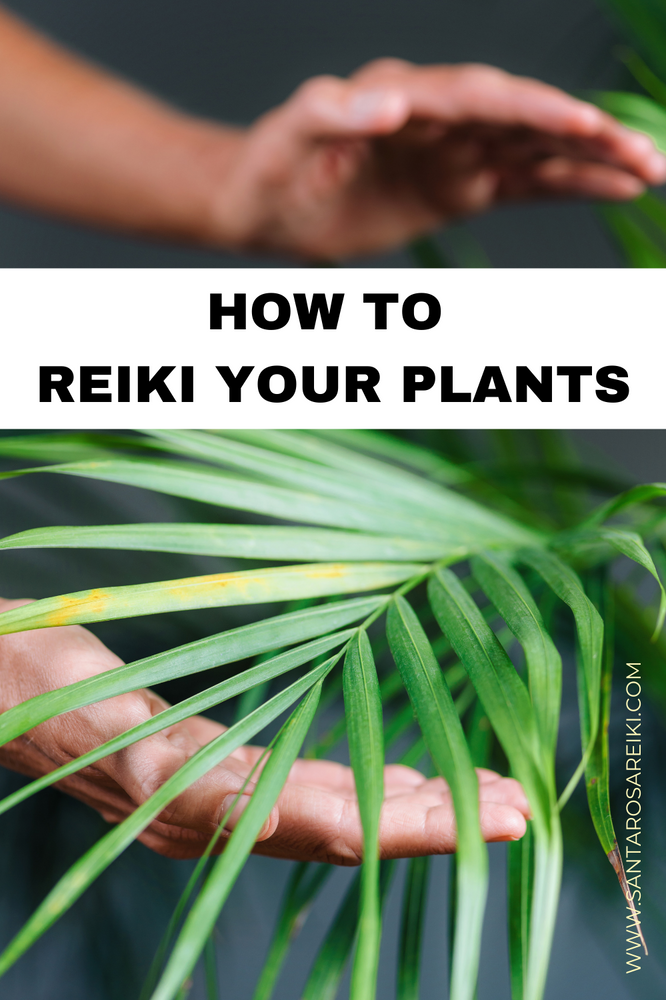 How to Reiki Plants Spirit of Working with Plant Allies