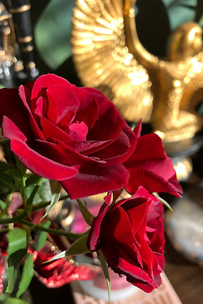 IMG_2411.jpeg