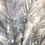 Thumbnail: Ombre sur toile