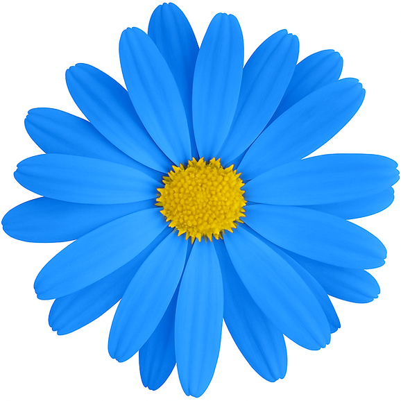 ChatGPT Image Jun 21, 2025, 02_48_17 PM.png