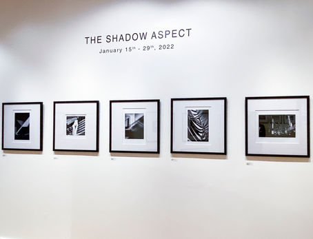 THE SHADOW ASPECT • DOCUMENTATION