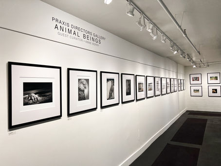 ANIMAL BEINGS 2022 • DOCUMENTATION