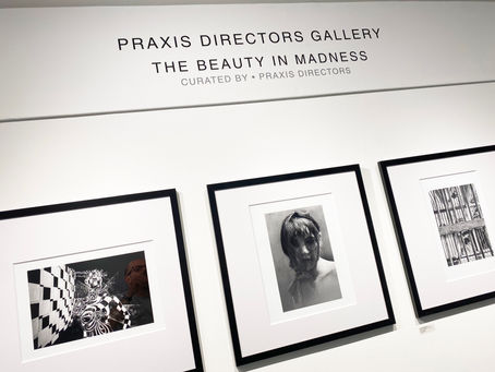 THE BEAUTY IN MADNESS • DOCUMENTATION 2022