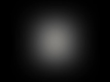 THE PORTRAIT 2023 • DOCUMENTATION