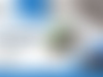 The Unseen Threat: Why Your Home NEEDS Fascia and Soffit Replacement NOW