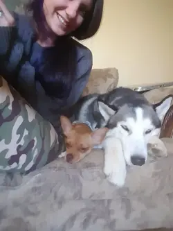 Cat Walking