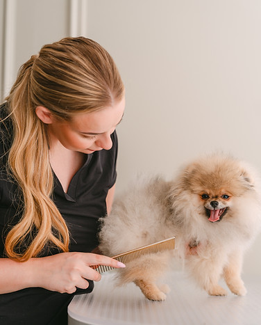 Dogs_in_Style_Tom_Tomeij_fotografie_branding162.jpg