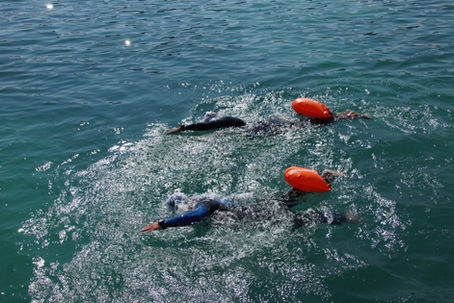 Das Schwimm-Workout der Woche #64