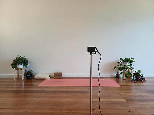 Yoga matt, camera, wooden floor and plant