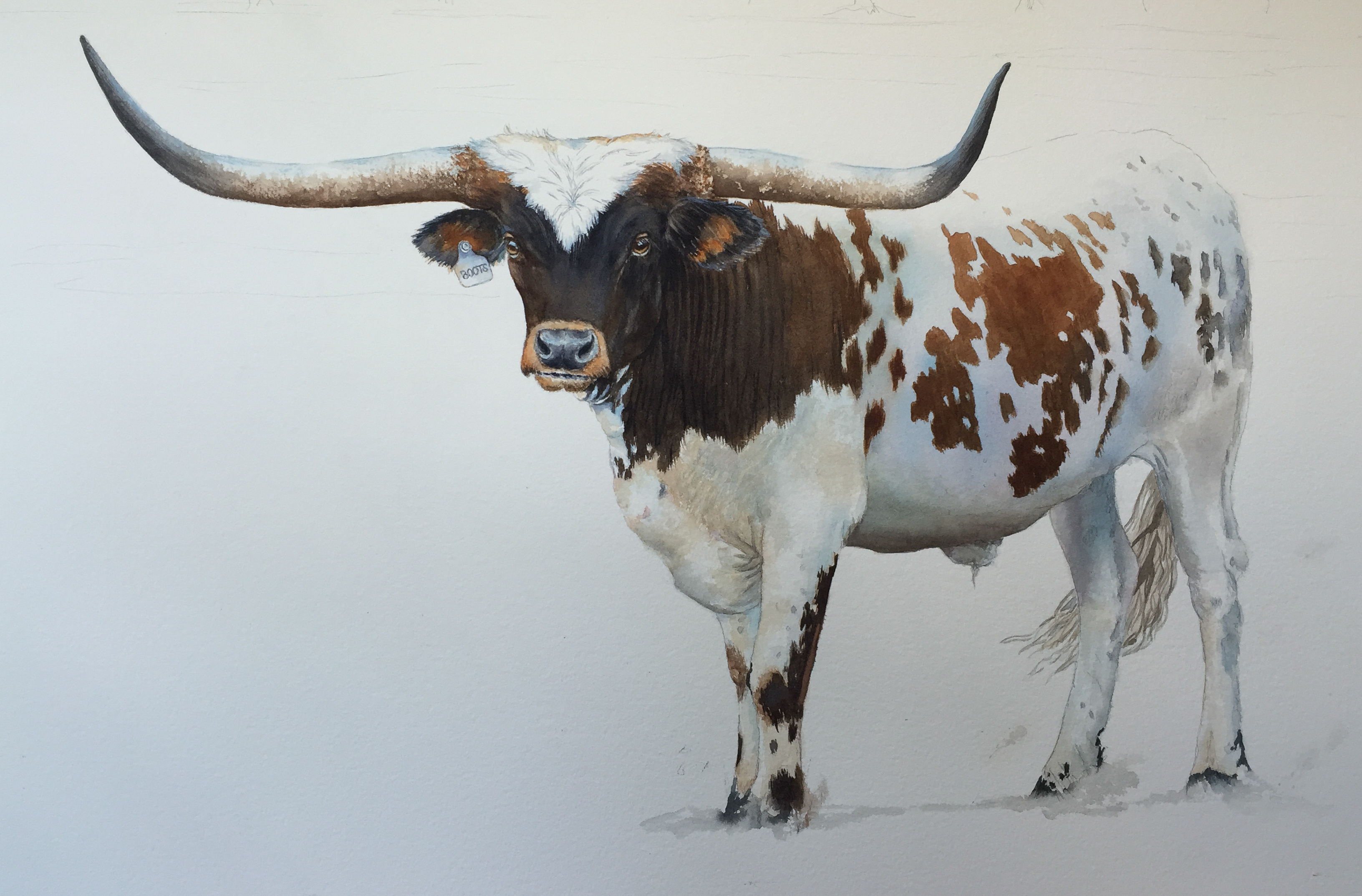 Watercolor painting of Boots