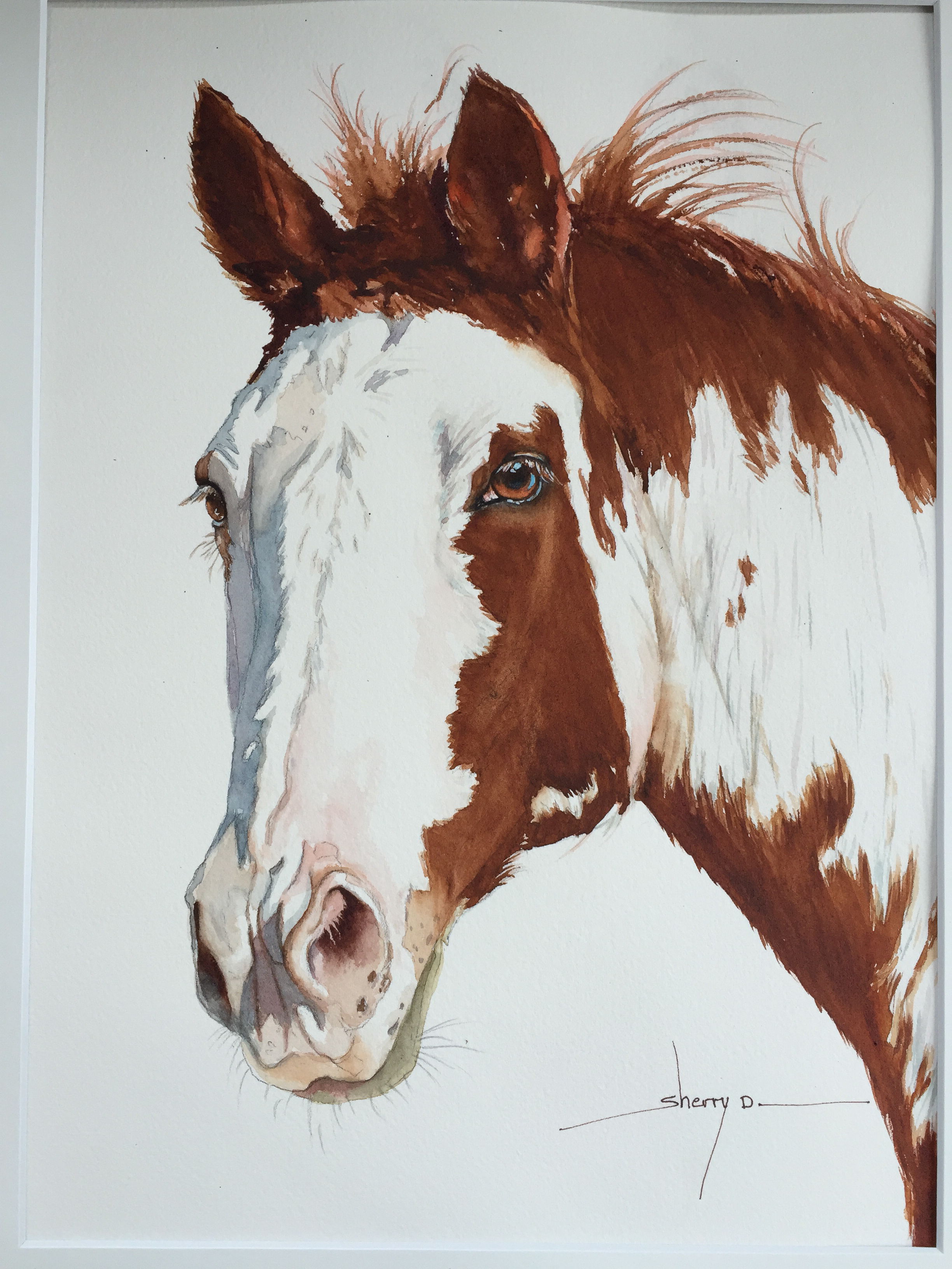 Watercolor portrait of Bella