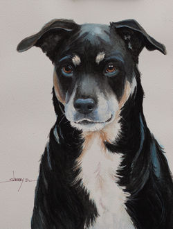 Black Dog Portrait Painting by Sherr