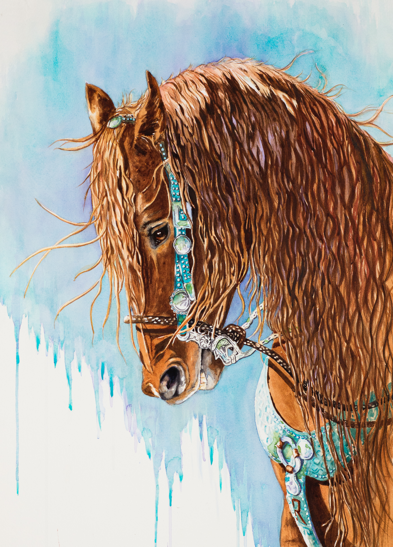 Caballo the Horse