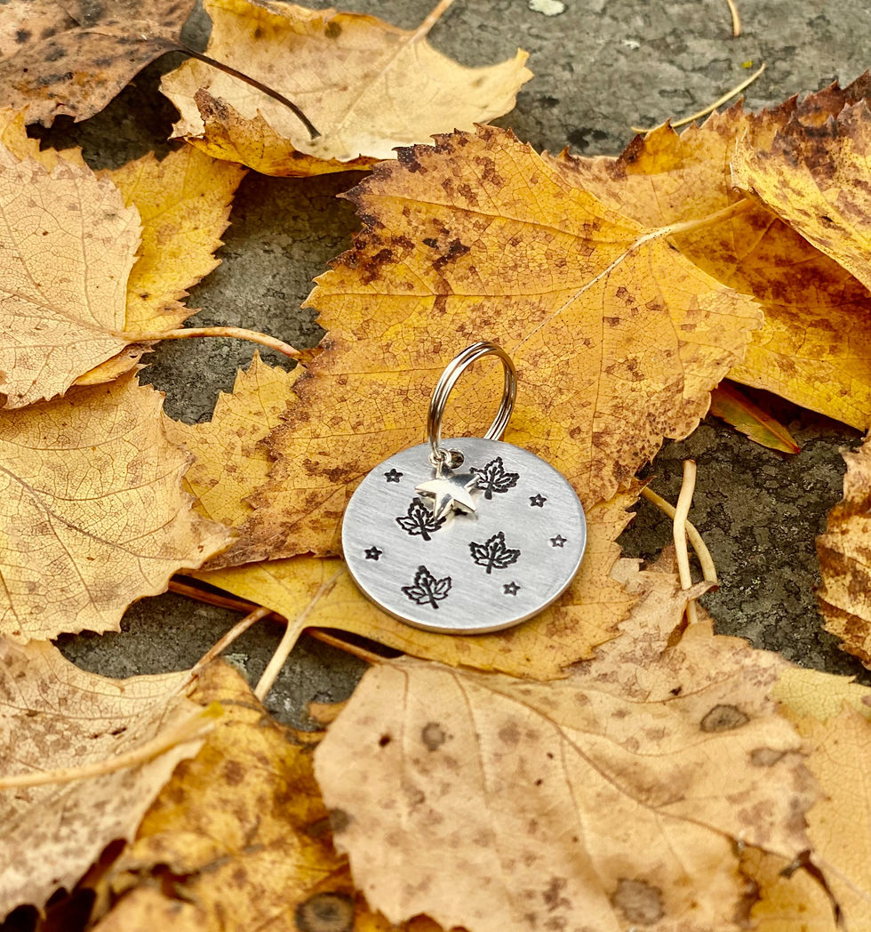 Thumbnail: Autumn leaves