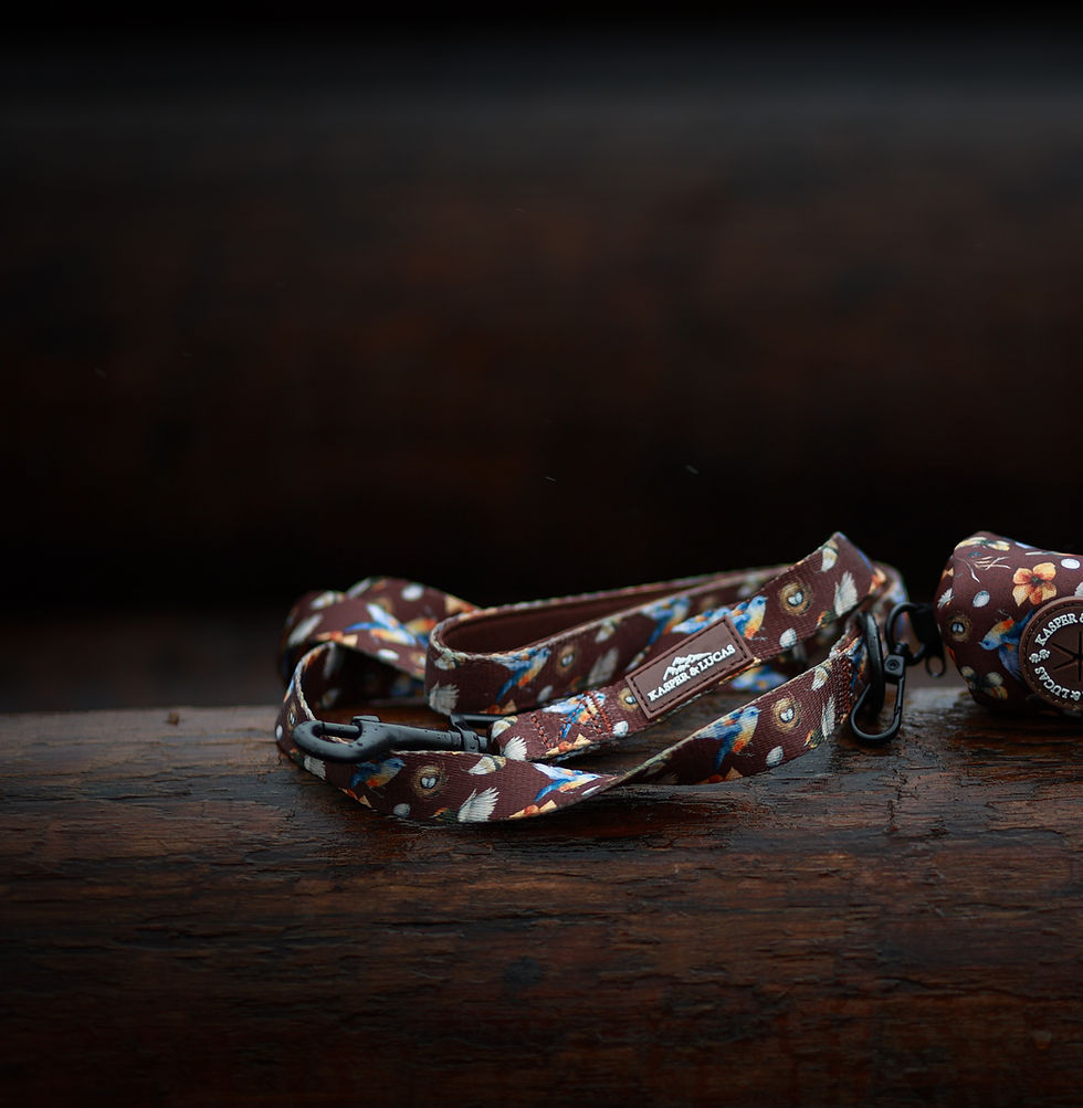 Thumbnail: Leash - Songbird