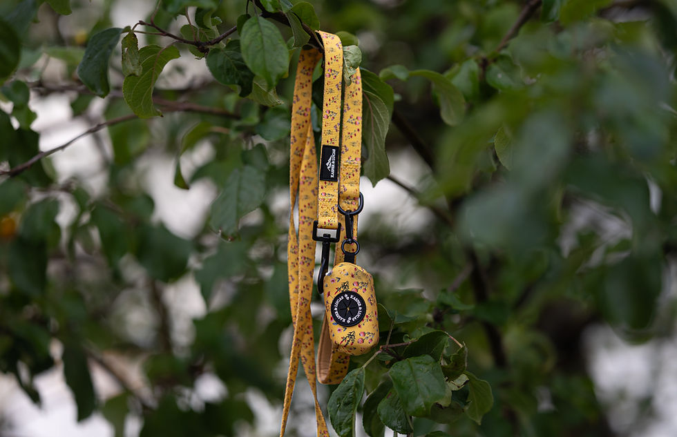 Thumbnail: PACKAGE DEAL - FLORA - ERGO HARNESS