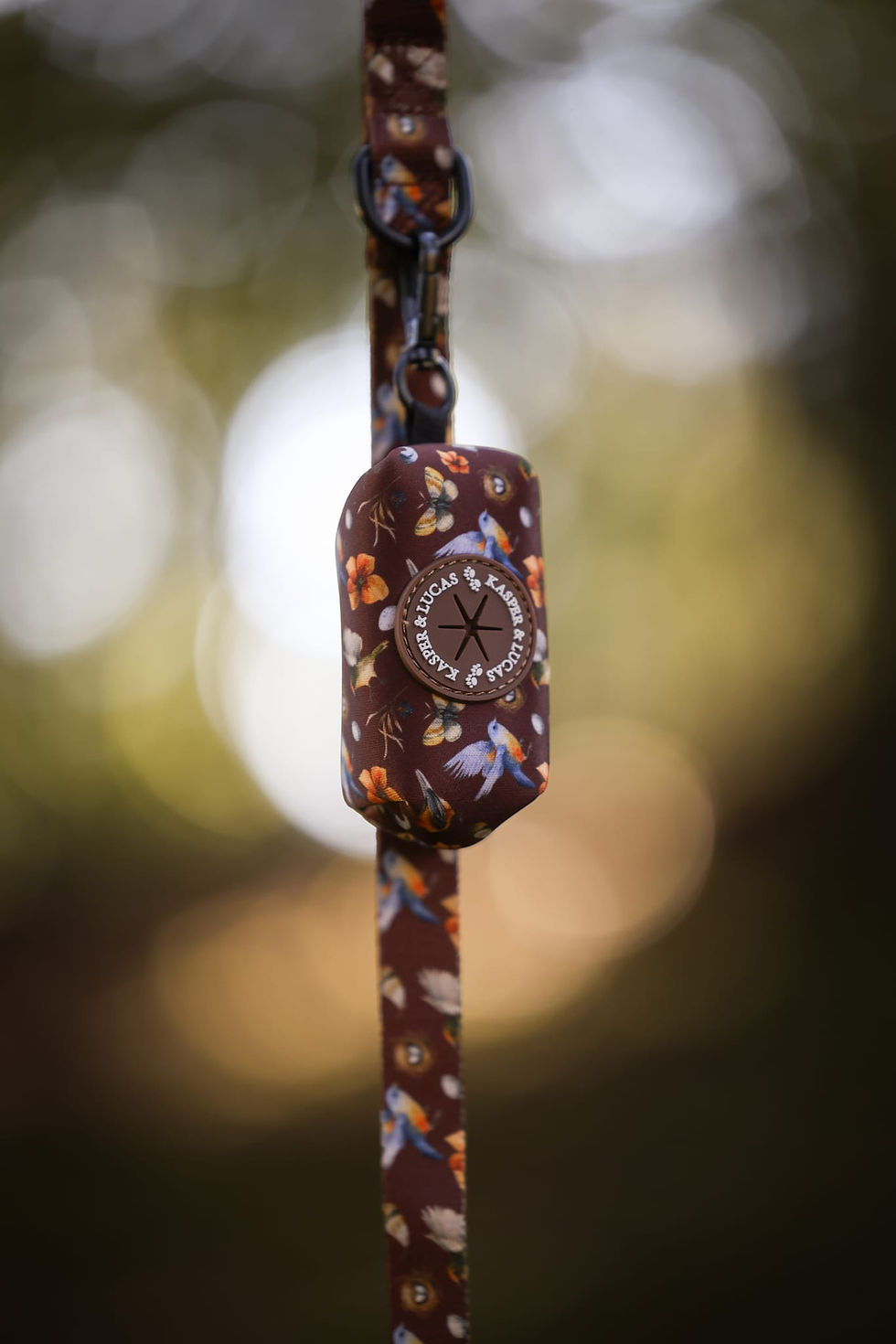 Thumbnail: Leash - Songbird