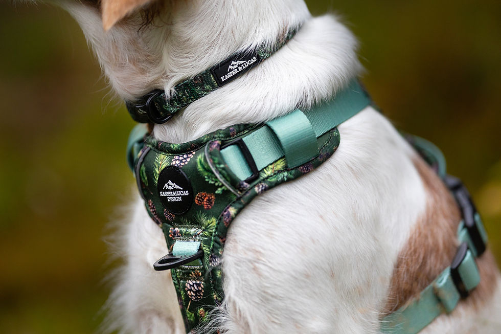 Thumbnail: ERGO HARNESS - PINE CONES