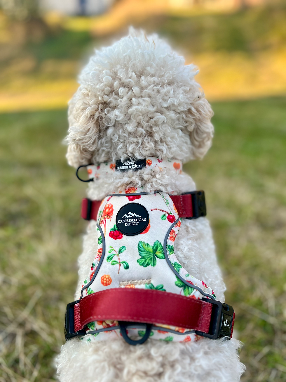 Miniatyrbilde: ERGO HUNDESELE - NORDIC BERRIES
