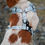 Miniatyrbilde: PAKKETILBUD - IN THE WOODS - SET