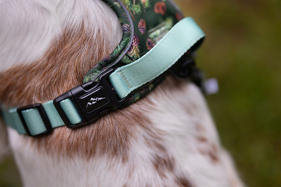 Thumbnail: PACKAGE DEAL - PINE CONE - ERGO HARNESS