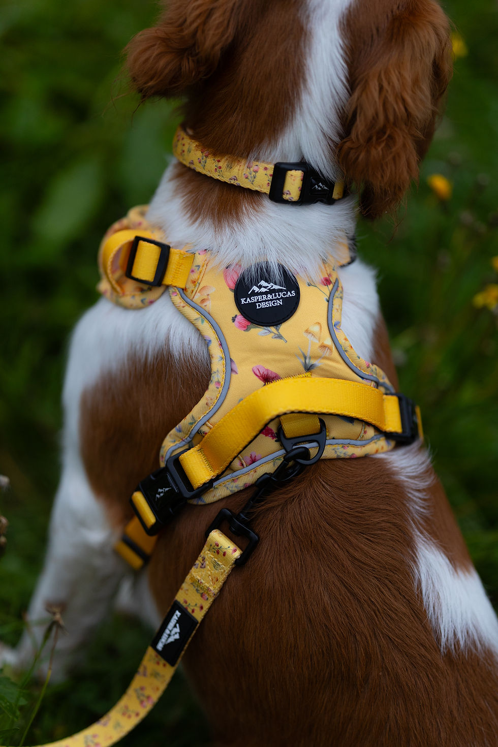Thumbnail: PACKAGE DEAL - FLORA - ERGO HARNESS