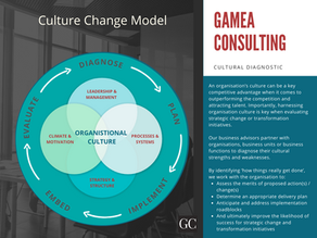 Cultural Diagnostic - Culture Change Model
