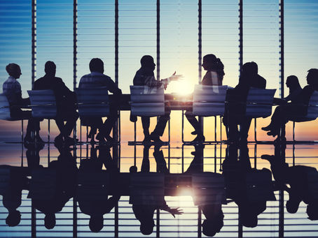 Why do organisations need the scrutiny of non-executive directors?