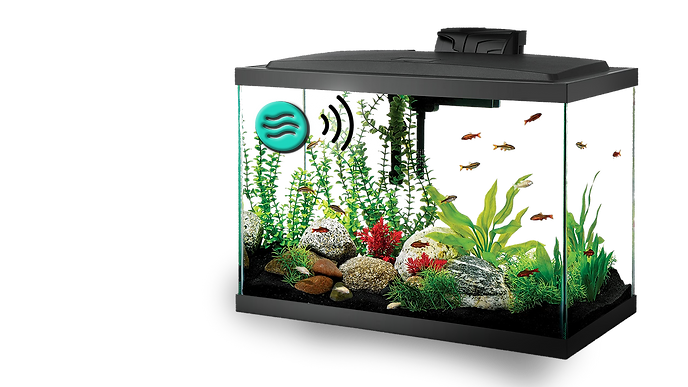 Spotify_Fish_Tank_Add_On (1).png