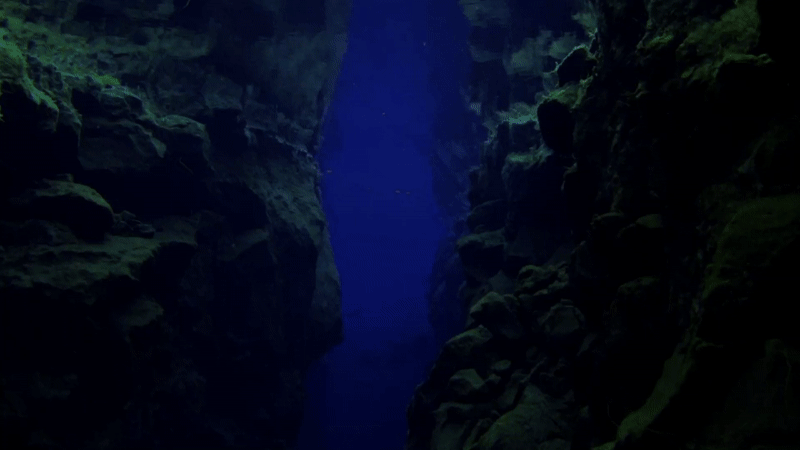 ELLIEELISA_17.gif