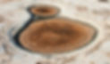 Dried Puddle.jpg