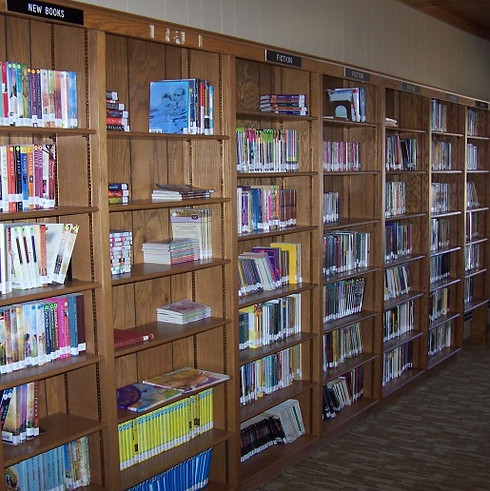 library pic 2.jpg
