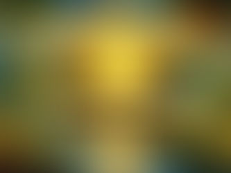 Transforming Life Through Gratitude, Service, and the Law of Attraction