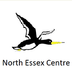 Screenshot 2023-01-16 at 09.08.26.png