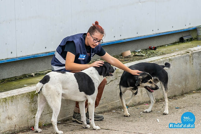 LindaPataRat (384).jpg