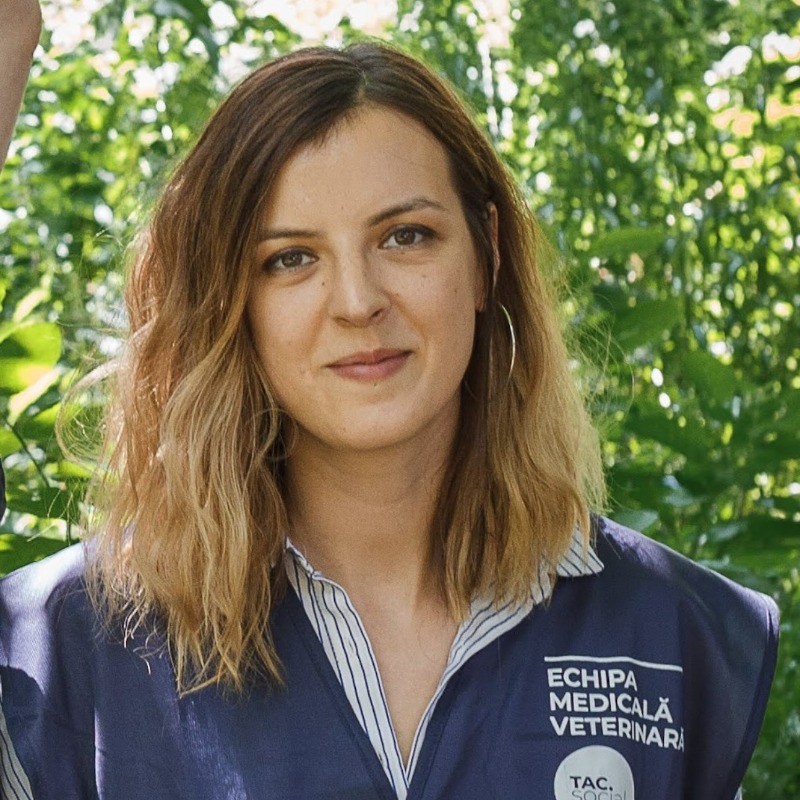 Poza scriitorului: Sorana Suceava