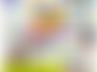 Back To School Bash & Wellness Fair