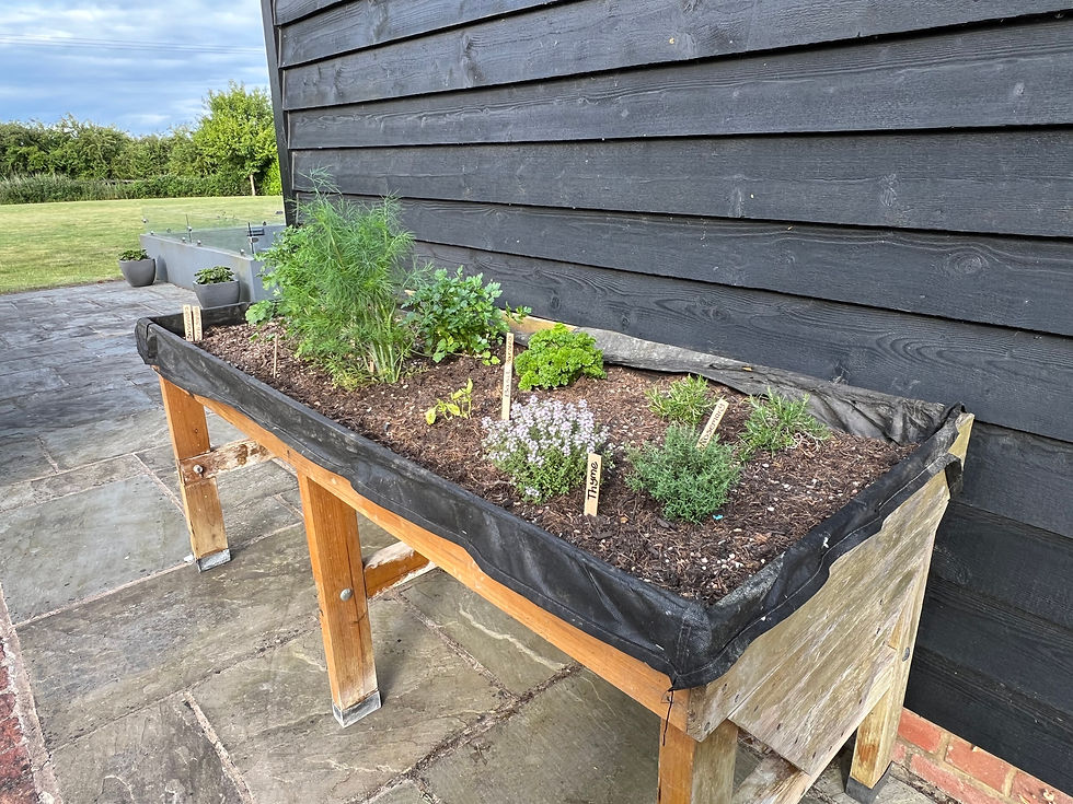 Susannah's Kitchen Herb Garden