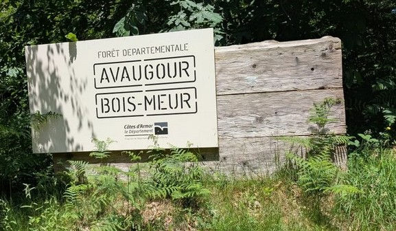 Randonnée (précédée d'un pique-nique) : Le circuit de la carrière forêt de Bois-Meur