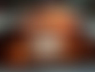 O Futuro com Displays Eletrônicos