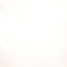 light beige background with smoke_edited_edited_edited_edited.jpg