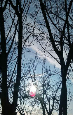 Dall'Aglio_Annamaria