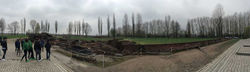Birkenou_rovine