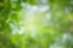 AdobeStock_321971810.jpeg
