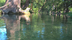 NATURALEZA