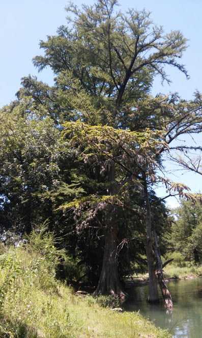 IMG-20170724-WA0040